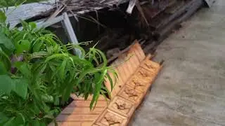 Afternoon Rain on Leaves and Small Street   4 Minutes Real Video