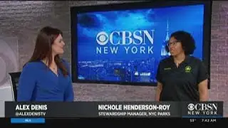 Ways To Celebrate Earth Day In NYC