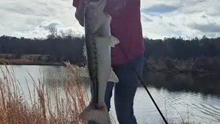 Strip Pit Fishing! (Holy Land)