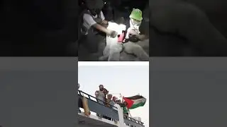 Israeli Forces Take Greta Thunberg To Israel For Deportation