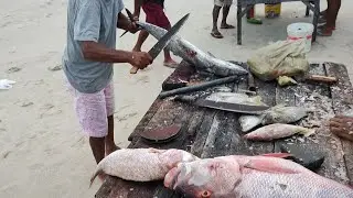 (Guerreiros Do Mar) FEIRA DE PEIXES DA PRAIA DO IGUAPE, COMERCIALIZANDO OS PESCADOS DOS JANGADEIROS