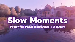 Duck Riverside Village Ambience (2 Hours) - Day Cycle, Soft Water Sound ASMR