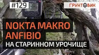 Поиск с Nokta Makro Anfibio multi на старинном урочище