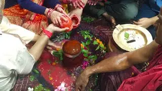 Baba basukinath vrihat shringar puja|| बाबा बासुकीनाथ वृहत श्रृंगार पूजा