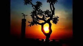Bali Ethnic Lounge   YOGI BEACH BUNGALOWS   Nusa Lembogan exelent sound