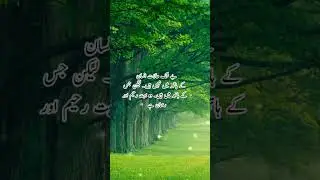 Aqwal e Zareen Status. Islami quotes status. #zakirvoice