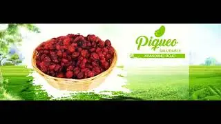 Piqueo Saludable
