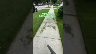 Satisfying garden work | overgrown yard | lawn edging |#lawncare  #viral  #satisfying  #asmr