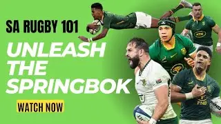Springboks UNLEASHED | Best Tries from the End of Year Tour | SA Rugby 101