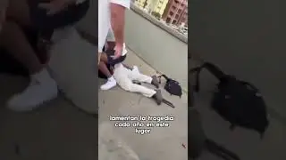 Dolor y silencio en Playa Bondi por ataque terrorista en Australia | MLDA