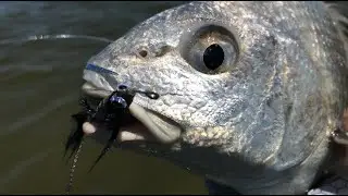 (S3 Ep125) The only lure that works on Black Drum and Flounder