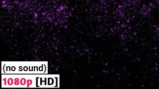 PURPLE Sparkle | Black Screen for Overlay