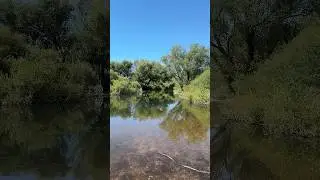 Не секретное место #река #fishing #лесной #рыбалка #automobile #природа #природаказахстана