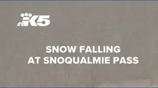 Snow falling at Snoqualmie Pass
