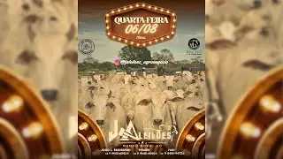 J A LEILÕES -  MUNDO NOVO - GO  - 06/08/25