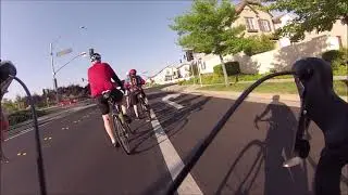 Road Riders Biking Group
