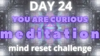Day 24 You are curious meditation | CalmWealth