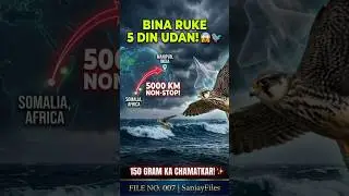 150 Gram ka 'Fighter Plane'? 🐦✈️ | File No. 7 | SanjayFiles