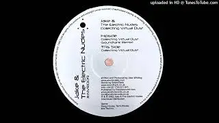 Jake & The Electric Nudes - Collecting Virtual Dust [Jenetic Records]