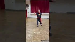 Tai Chi 8 Energies Form.