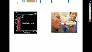 1-Chest Introduction شرح باطنة دكتور سويلم