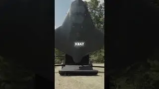 Navy SEALs Created the First AI Fighter Jet&hellip;Shawn Ryan