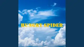 Hungry Spider