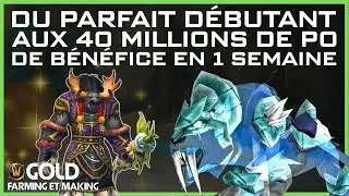 GUIDE DE DÉBUTANT AUX 40 MILLIONS DE PO DE BÉNÉFICE PAR SEMAINE - WOW SHADOWLANDS GOLD FARM FR