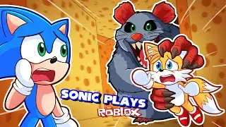 🦔 ESCAPE SCARY CHEESE MOUSE [2 PLAYER HORROR OBBY] | Sonic Plays Roblox Cheese Escape Ft. Tails