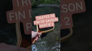 #recap2025 Truites de fin de saison - Partie 2 #peche #truite #fishing