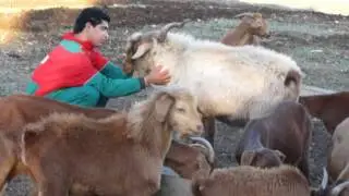CHAMHAROCHE