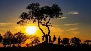 Botswana Okavango Safari | Wilderness Travel