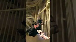 If Leon from Resident Evil 4 Remake was John Wick