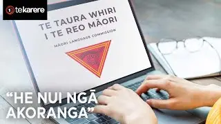 Kura reo for public sector kaimahi proceed despite govt criticism