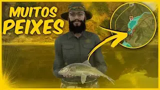 ESSE É UM DOS MELHORES SPOTS PARA INICIANTES, PESQUE MUITO EM POUCO TEMPO - COTW: THE ANGLER