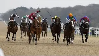 【DEAUVILLE】FRENCH HORSE RACE ANALYSIS - CHECK OUT ONE OF THE BEST ☆☆☆ TOO!!