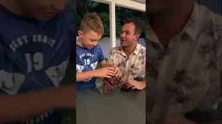 Grape eating challenge