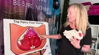 The clitoris!