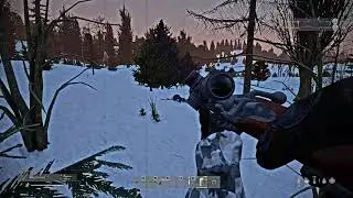 типа мувик дм сталкер #dayz #dayzgamers #moments #dayzmod #pvp #gaming -3 юху