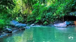 Gentle River Channel at Night | Calm Flowing Water Sounds for Deep Sleep and Relaxation