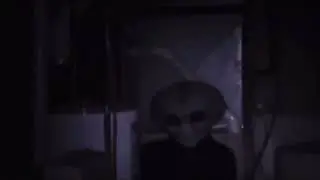 Zeta Reticulan biodroid encountered in basement