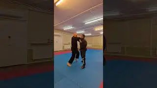 Gedan Barai Application - Karate block, change the range. #karate #karatejutsu #budokarate