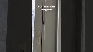 POV: When the Spider disappears 😳🕷️🕸️