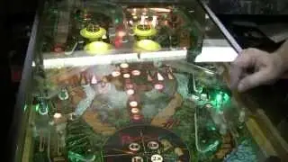 #450 Gottlieb RAVEN Pinball Machine with Camouflage Sideart!  TNT Amusements