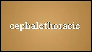 Cephalothoracic Meaning