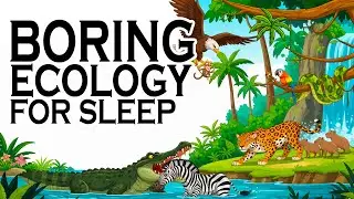 How Predators and Prey Shape Nature | Ecology to Fall Asleep To