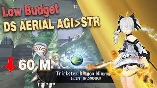 Build DS Aerial Level 280  Low Budget After Adjusted- Toram Online