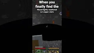 when you finally find the waxed lightly weathered cut copper stairs...  #minecraft #copper