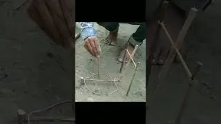 Bird Trap | Parrot Trap | Pigeon Trap | Trap For Bird #birds #trap #shorts