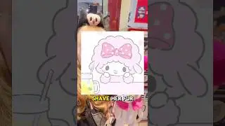 Did you KNOW My Sweet Piano&hellip; #shorts #shortfeed #mysweetpiano #mymelody #sanrio #sanriolover